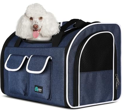 PETCUTE Katzenrucksack Hunderucksack für Katzen und Kleine Hunde,Atmungsaktiv Haustier Rucksack Katzentransportbox mit Herausnehmbarer Matte,Faltbar Katzentasche,Multifunktionales Transportbox Hund