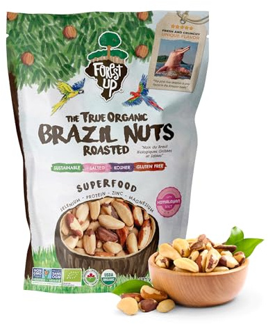 FLORESTA EM PÉ - The True Organic Premium Brazil Nuts (15oz) Roasted & Himalayan Salt | KOSHER | Non-Gmo | Certified Organic | No Oil | Fresh | Vegan | Gluten Free | Keto and Paleo Friendly | Sustainably Harvested