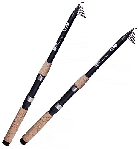 Zite Fishing Angelruten Set | 2 Stück Teleskop-Rute 2,70m 30-80g | Spinnrute mit Fiberglas-Blank | Allround-Rute mit Komfort-Korkgriff | Auch für Kids & Anfänger