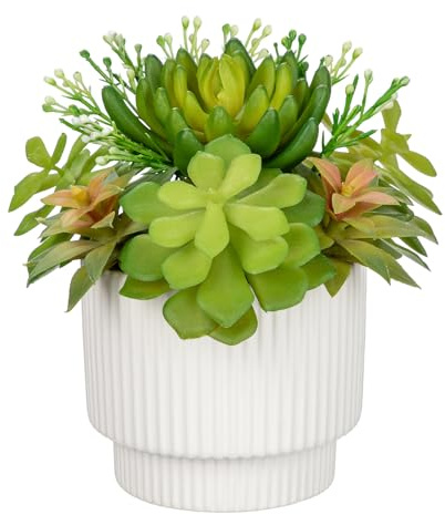 Hollyone Plantes succulentes artificielles en pot, fausses plantes grasses assorties d'intérieur en pot en céramique blanche pour décoration d'intérieur, bureau, salon, salle de bain, rebord de