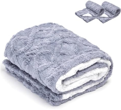Nobleza 2 Piezas Manta Impermeable para Perros, Manta Suave de Felpa para Perros Miniatura y Pequeños Gatos, M 100 x 75 cm, Reversible, Protección de Sofá, Lavable a Máquina, Azul Claro