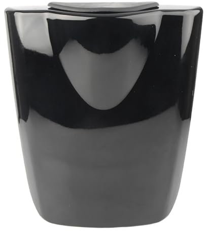 XFYESL Alettone Moto Adatto per Honda CBR600RR 2003-2006 Motociclo Sedile passeggero Posteriore Copertura Posteriore Carenatura Spoiler Anteriore Moto(Black)