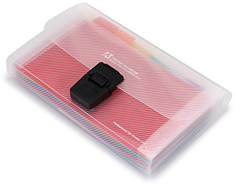 BTSKY 13 Pocket Accordian File Organizer- Plastic Wallet for Cards,Coupons,Receipt,Tax Item, Mini Expanding Folders Organizational A6 Portable Folder