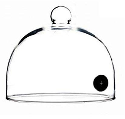 GaoYunQin Pistola affumicare 7.8 Pollici Cloche della Pistola Fumante, Cupola per Fumo Freddo, per Piatti, Bicchieri, Ciotole, Infusore di Fumo Cloche, Coperchio Accessorio