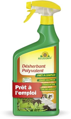 Neudorff Finalsan AF Désherbant Polyvalent - Spray désherbant à action rapide contre les mousses et les algues, utilisable sur de nombreuses surfaces, 1 L
