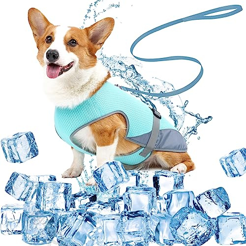 DKDDSSS Hund Kühlweste, Atmungsaktiv Hundekühlweste, Sommer Cool Hundejacke, Cooler Komfortabler Hundemantel, für Kleine Bis Mittelgroße Hunde Aktivitäten Draußen Training (Blue, M)