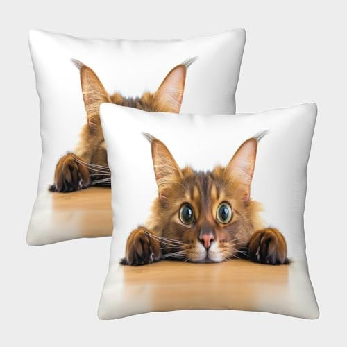 WENNUAN 2er-Pack Kissenbezug 45x45cm Deko-Kissenbezug Süße Kätzchen Deko-Kissenbezug Tier Deko-Sofa-Kissenbezug Mit Muster Passend Für Sofa Wohnzimmer Balkon Garten Auto