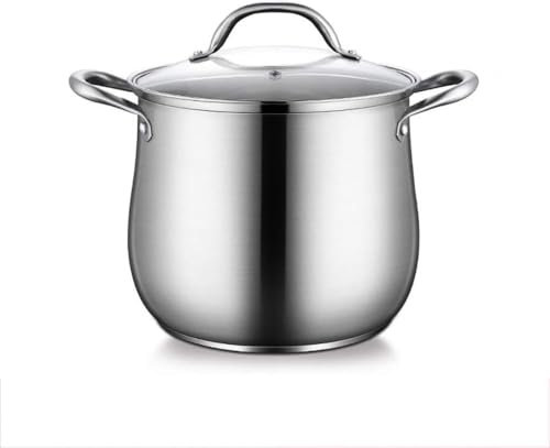 Pentola profonda con coperchio in vetro, doppi manici resistenti al calore per una cottura sicura, ideale per grandi pasti in famiglia e cucine professionali