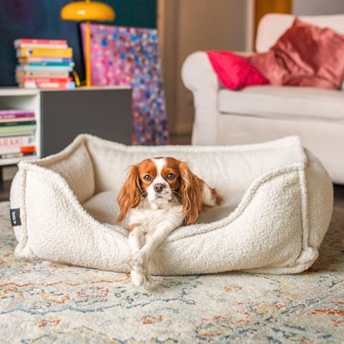 4L Textil Kuscheliges Hundebett aus Bouclé Leo Premium-LINE orthopädisches Hundekörbchen Hundekissenfür kleine Hunde flauschig Hundesofa mit Memory Foam(Beige,60x40 cm)