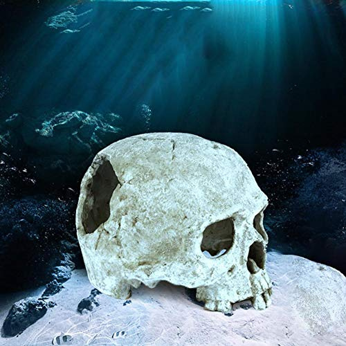 Ablerfly Simulation menschlicher Schädel-Reptilien-Höhle, Haustier-Reptil-Verstecke Aquarium-Landschaftsverzierungs-Simulation menschlicher Schädel-Form Kindness Trustworthy
