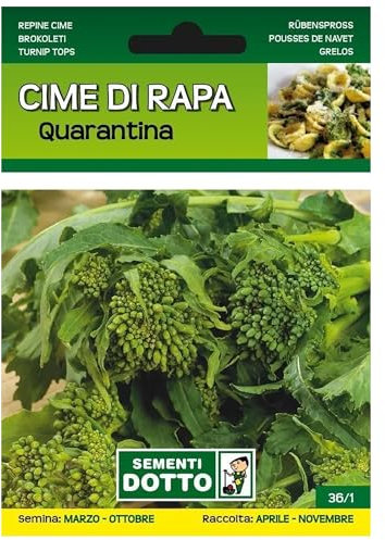 Sicignano | Semi Cime di Rapa Quarantina - Pianta Precoce, Infiorescenze Serrate, Busta Extra - 6 Confezioni da 20g, Raccolta Primaverile-Estiva