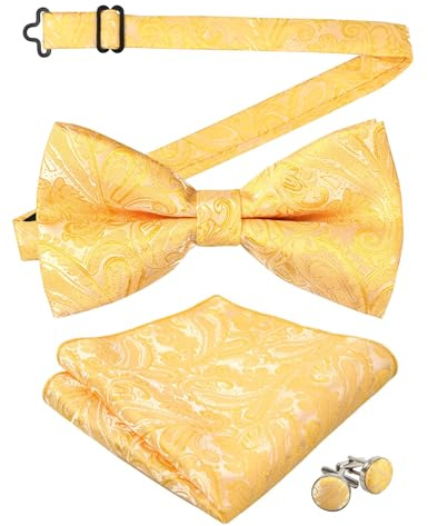 Alizeal Herren Fliege mit Farbverlauf Paisley, vorgebunden, Einstecktuch, Manschettenknöpfe Set | Formelle Party-Fliege, verstellbares Design, Smoking, zweilagiges Set