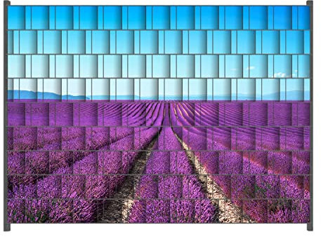 Wallario Zaun Sichtschutz Windschutz für EIN- und Doppelstabmattenzäune in der Größe Breite 2,50m x Höhe 1,80m, Motiv: Lavendelfeld unter blauem Himmel