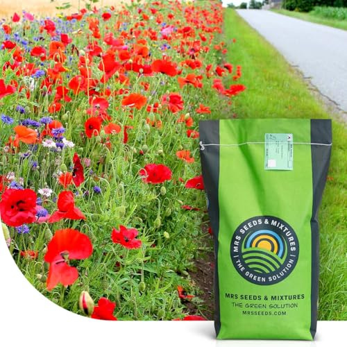 Roadside Bloom: Grassamen | Farbenfrohe Wegränder | 5 kg - 250 m² | Schnelle Keimung und Etablierung | Gegen Bodenerosion | Dichte und kräftige Grasnarbe | Trockenheitsverträglich