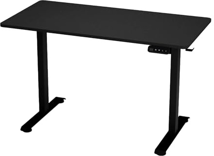 ergonomist Electric Standing Desk, Height Adjustable, Sit Stand, 100x60 CM