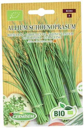 Germisem Schnittlauch ALLIUM SCHOENOPRASUM, ECBIO1104