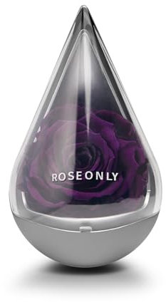roseonly. Ewige Rose, Konservierte Rosen Stehauf, Infinity Rote Rose Tropfenform, Geschenke für Frauen zum Geburtstag, Valentinstag, Weihnacht, Muttertag, Jubiläum (Lila)