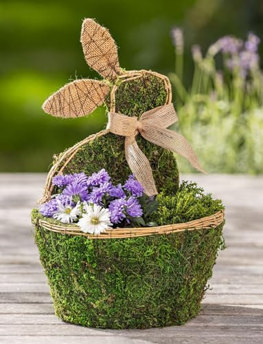 Dekoleidenschaft Pflanztopf Moos Osterdeko, Blumentopf mit Hase, Naturmoos & Jute, Pflanzgefäß