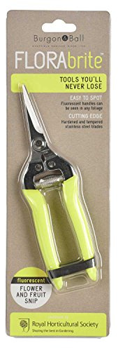 Burgon & Ball Flower and Fruit Snip, Fluorescent Yellow