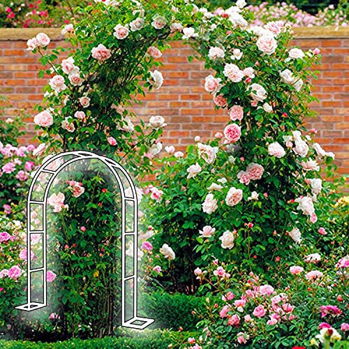 Metall Gartenbogen Für Kletterpflanzen, Robuster Rosenbogen Aus Metall Stabil Breite 120Cm/140Cm/180Cm/350Cm, Torbogen Rankhilfe Pergola Spalier Für Rosen Blumen Im Garten Terrasse ,Weiß,W1.8mxH2.2m