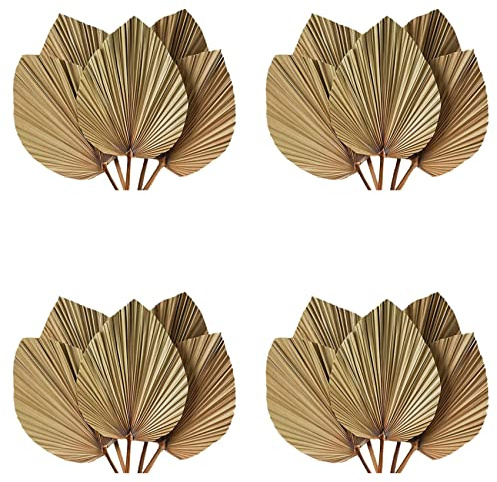 Uikdjgu Decoración de Habitación con Hojas de Palma Secas, 20 Piezas, 18 Pulgadas de Alto x 10 Pulgadas de, Decoración Grande de Hoja de Palma Natural para Un Hermoso Aspecto Bohemio