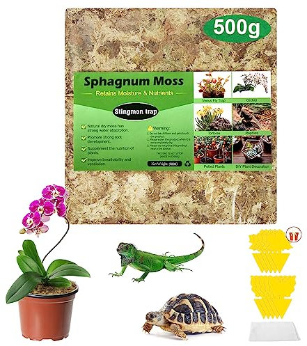 Sfagno Terriccio per Orchidee Terriccio Bonsai Sfagno per Piante Substrato per Orchidee Muschio Vivo Sfagno per Orchidee 500g ed Trappola Mosche Carta Moschicida