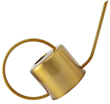 BESTonZON Arrosoir Pot Arrosage Jardin Vaporisateur Pulvérisateur Fleurs Usage Domestique