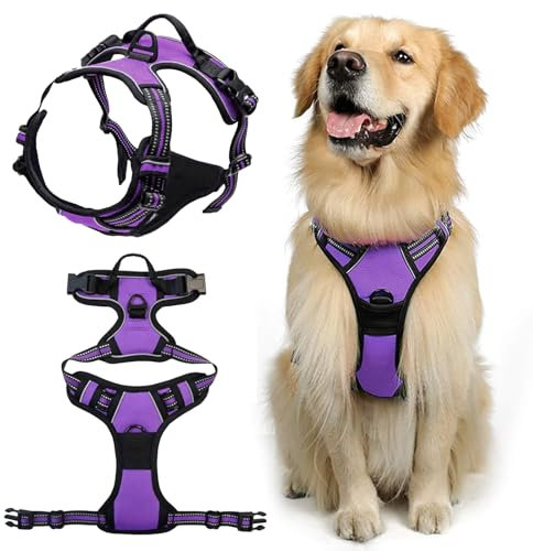 DKDDSSS Hundegeschirr für Mittelgroße Hunde, Anti-Zug Brustgeschirr für Labrador, Einfache Anpassung, Atmungsaktiv (S)