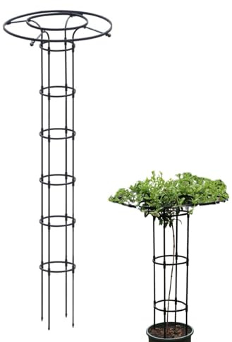 Treillis pour grimpantes, support vertical en métal, support de jardinage extérieur pour grimpantes, fleurs, vignes