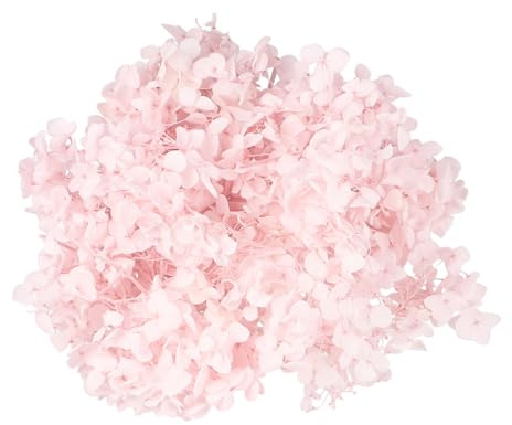 VICASKY Fiori Secchi Naturali Ortensia Essiccati Eterni Decorazioni Da Te Secco Rosa Fiore Da Te Forniture Per Nail Art
