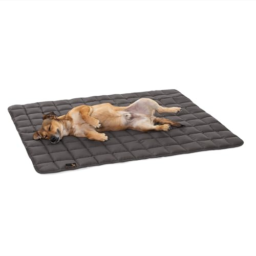 Pointer | Hundedecke 80 x 60 cm, Gepolstert & Strapazierfähig - Hundematte Waschbar bis 95°C, Liegedecke für Boden oder Sofaschutz - Outdoor geeignet (M - 80x60 cm, Grau)