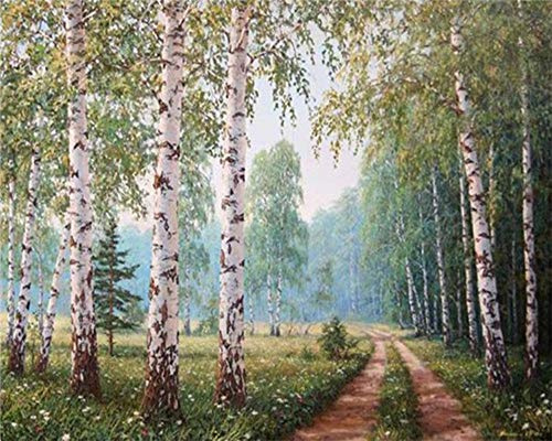 YEESAM ART DIY Ölgemälde Malen nach Zahlen Erwachsene Kinder, Weiße Birke Bäume Wald Pfad Zahlenmalerei ab 5 Öl Wandkunst (Wald, ohne Rahmen)
