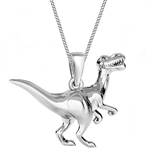 Goldene Hufeisen Dinosaurier Anhänger mit Kette 925 Echt Silber Mädchen Jungen Halskette Dino
