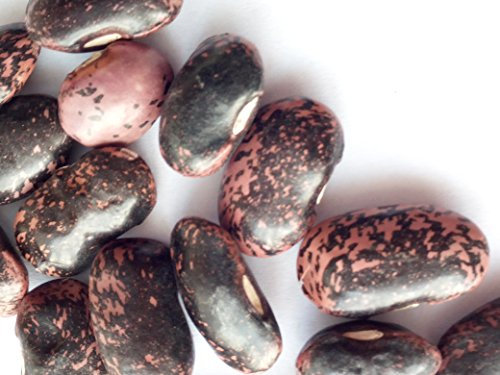 SEMI FAGIOLI -2 VARIETA'-PAVONI + MONACHELLA