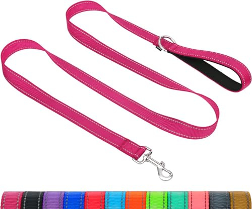 Taglory Hundeleine mit gepolsterter Handschlaufe, Reflektierende Führleine für kleine, mittlere und große Hunde sowie Welpen, Aus reißfestem Nylon für tägliche Spaziergänge, Pink