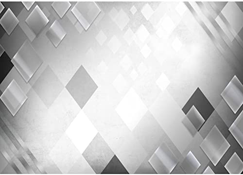 Runa Art Papier peint intissé 3D Abstrakt 352 x 250 cm Toison Mur XXL Tableaux Muraux Tapisserie Photo Décoration Murale Salon Chambre Schwarz Weiss 9347011c
