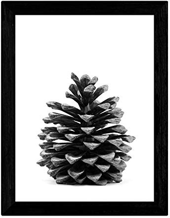Nacnic Pinecone Blatt in A3-Format, Schwarz-Weiß-Posterpapier 250 gr und qualitativ hochwertige Tinten. Frameless