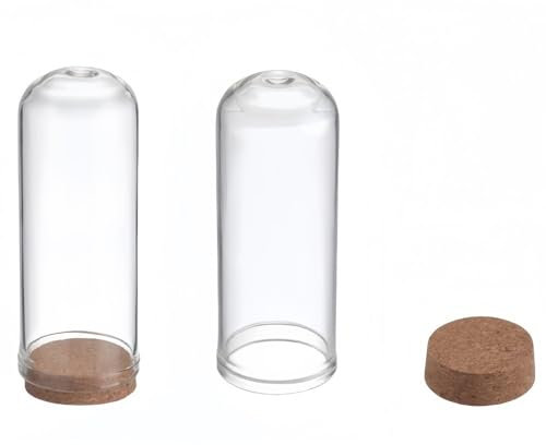 WOATOHO Cloches en Verre de 2,8 x 7 cm avec Base en liège, Petites Bouteilles Transparentes décoratives, Lot de 10