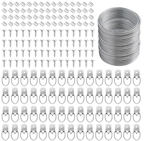 181 Pcs Zruosiniy Premium Picture Hanging Kit, 100FT Braided Hanging Wire, 60 D Ring Hangers with Screws, 60 Aluminum Crimping Sleeves, Heavy Duty for Frames, Mirrors, Canvas, Artwork & Home Decor