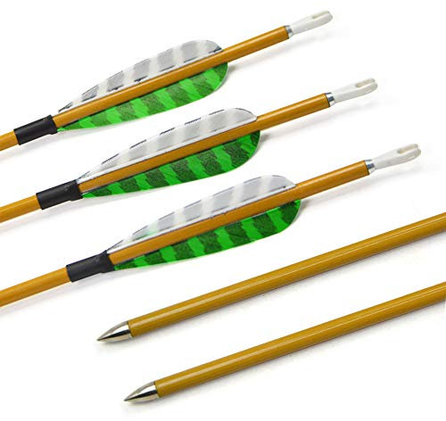 SHARROW 12pcs Carbonpfeile 31 Zoll mit Naturfedern Carbon Pfeile für Bogen Kohlenstoff Pfeil mit Truthahnfeder Spine 900 Bogenpfeile Zielübungspfeile für Compound und Recurvebogen (Grün & Weiß)