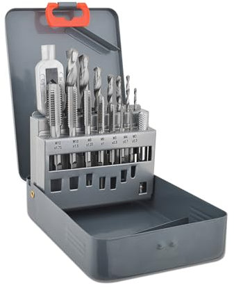 Gunpla 15 Pezzi Set Maschi per Filettatura Metriche M3-M12 con Punte Elicoidali y Giramaschio Kit Filettatrice Manuale con Cassetta di Metallo