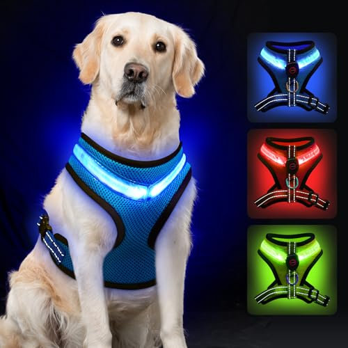AUAUY Hundegeschirr Leuchtend, Leuchtgeschirr LED Aufladbar Reflektierendes, 3Modus Atmungsaktiv Leucht Geschirr mit 1.5M Leine Verstellbar Hunde Sicherheitswestenlichter für Nachtspaziergänge-Blau/L