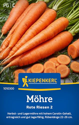 Kiepenkerl Möhrensamen Rote Riesen 2 1010300, Gemüsesaat | Herbst- und Lagermöhre mit hohem Carotin- Gehalt, Karotten, Länge 22-26 cm, Lagerfähig, für Beet & Freiland