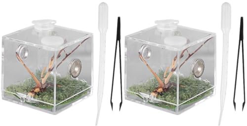 POPETPOP Acryl Reptilien Zuchtbox, 2 Stücke Springspinne Fütterungsbox, Transparentes Spinnen Terrarium Mit Pipette & Zange
