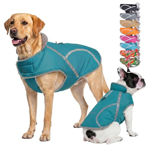 VIVAGLORY Hundemantel Hundejacke Frostfit Wintermantel, S, Blaugrün