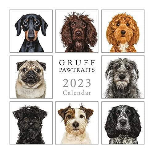 Wandkalender 2023 von Portico Designs (Gruff Pawtraits quadratischer Kalender)