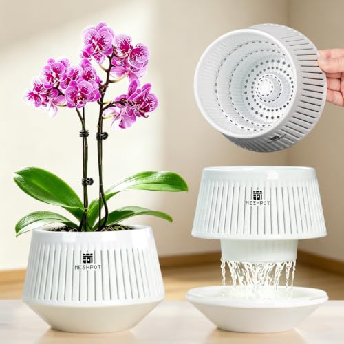 Meshpot Orchid Pots with Holes for Repotting, Decorative African Violet Pots with Air-Pruning and Good Air Circulation, Plastic White Orchid Planter with Saucers, 5 Inch, Set of 1