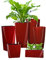 Pflanzwerk® ÖKOSYSTEM Pflanzkübel TUB - Blumentöpfe Übertöpfe mit BEWÄSSERUNGSSYSTEM - 20x50x20cm Shiny ROT *Indoor & Outdoor Blumenkübel* *UV-Schutz* *Premium Markenqualität*