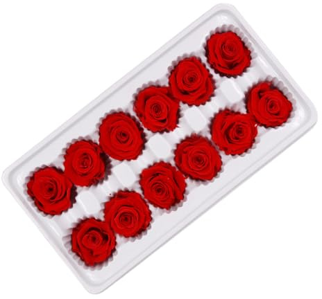 NIYANGLE Rose Stabilizzate Vere Rosse 1 Scatola 12 Pezzi 1.38In Fiori Eterni Mai Appassiti Regalo San Decorazione Nozze Casa