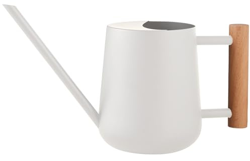 LanQii 1L Regadera Pequeña de Interior, 35 oz Acero Inoxidable Regadera de Jardín con Boquilla Larga y Mango de Madera para Suculentas Maceta Interior Jardinería Flor Bonsái Plantas de Riego, Blanco